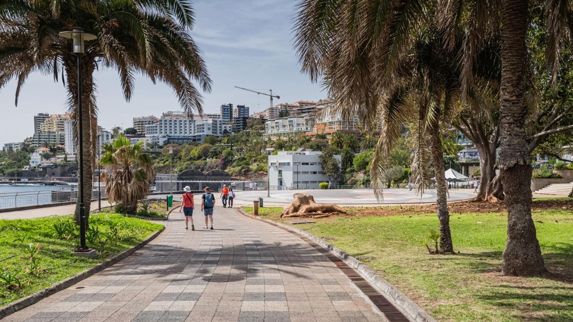 Oceanside Terrace Apartment By Holiday Rental Madeira Funchal  Exteriör bild